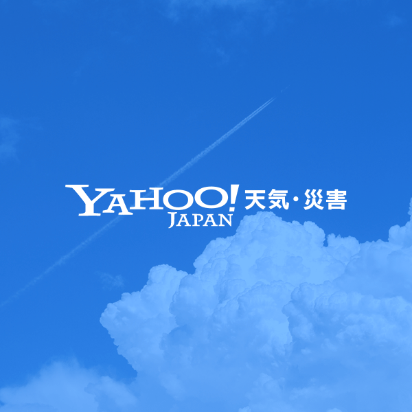 今日の天気