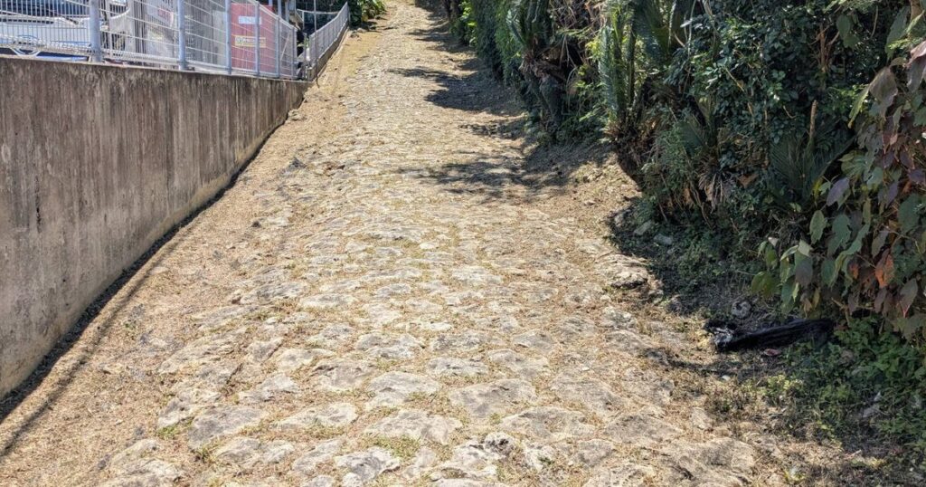 宜野湾の野嵩石畳が沖縄県史跡に　近世琉球期の幹線道路　市立博物館でパネル展も - 琉球新報デジタル