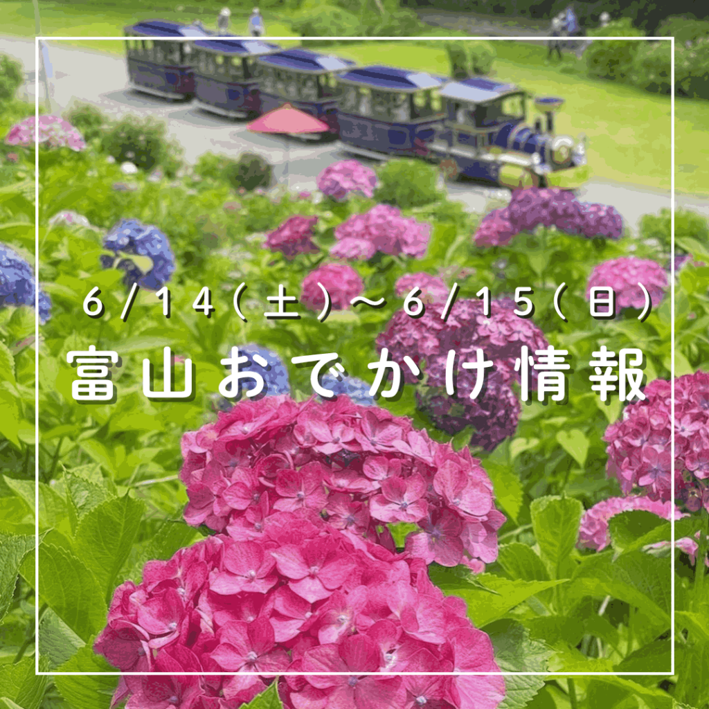 【6/14-15 富山おでかけ】北陸最大級のあじさい祭り・花しょうぶ祭りがスタート 子供が退屈しないワークショップや遊べる企画も満載｜おでかけ｜nan-nan｜富山を楽しむオススメ情報 - KNB