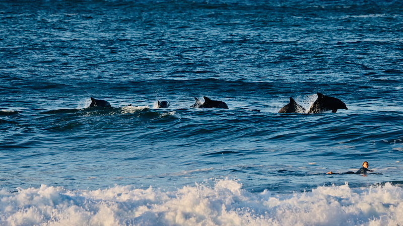 スクリーンショット 2025-06-05 5.03.21