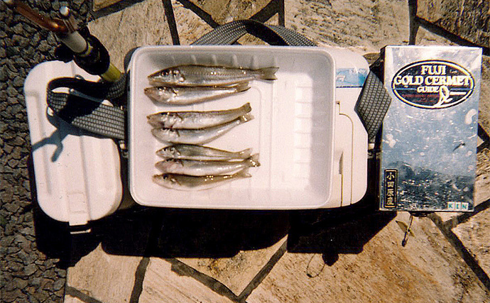 清水港の投げキス釣りで13cmを頭に7尾手中【静岡】シーズン本番に向けて好発進