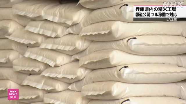 ＪＡ全農 兵庫県内の精米工場を報道公開 フル稼働で対応｜NHK 兵庫県のニュース