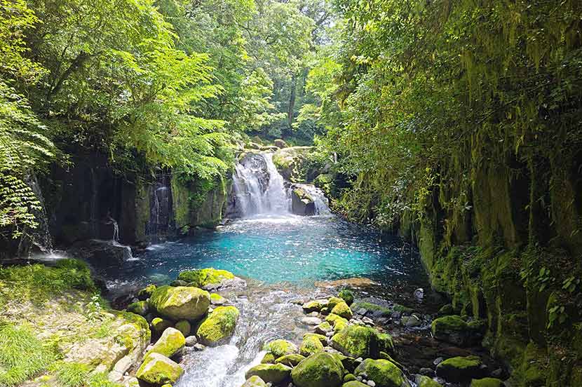 清流と雄大な自然に囲まれた別天地！ 人気観光スポット熊本県・阿蘇周辺エリアでつながるネットワーク