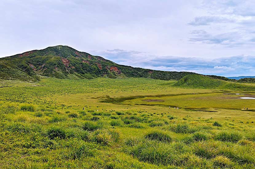大草原と放牧された馬と触れ合える「草千里ヶ浜」