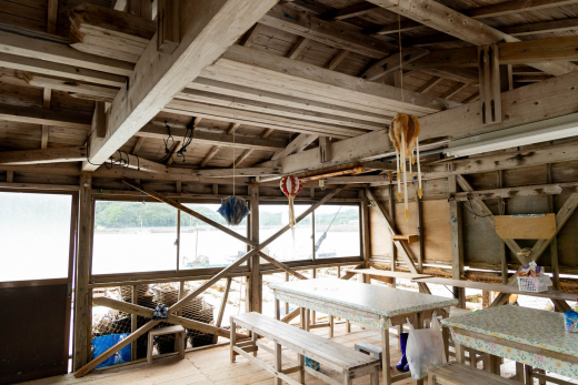 【鹿児島・甑島】再生と兆し〜始まりの物語を紡ぐ KOSHIKI ART PROJECT〜 ／ KOSHIKI ART 2024 事務局長 齊藤純子さん