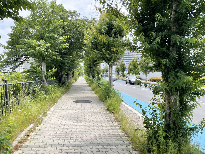 生鮮食品スーパー「マツゲン 久御山店」の場所画像