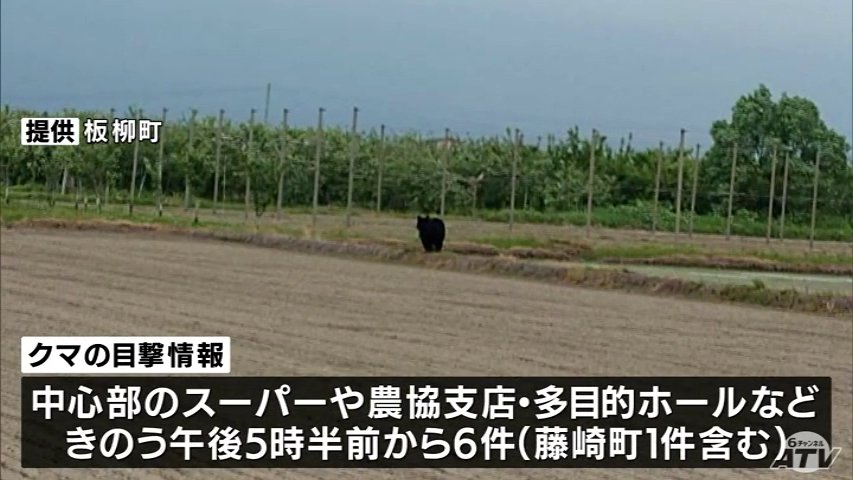 板柳町で31日に6件のクマ出没目撃 一夜明けて目撃情報なし 青森市浪岡では3日連続の目撃 青森県（ＡＴＶ青森テレビ） - Yahoo!ニュース - Yahoo!ニュース