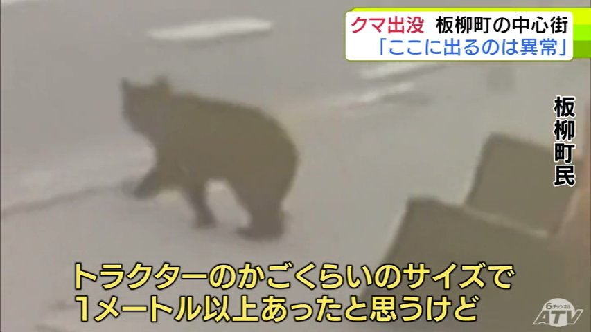 防犯カメラに『クマ』の姿 「ここに出るのは異常」不安募る住民 座っているクマを見た人も「どこから来たの…」 青森県板柳町（ＡＴＶ青森テレビ） - Yahoo!ニュース - Yahoo!ニュース