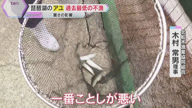 「全然いない」琵琶湖のアユが過去最低の不漁 猛暑で水温上昇、地元の名産に影響 滋賀県に対策を要望「琵琶湖が魚に住みにくくなっている」（読売テレビ） - Yahoo!ニュース - Yahoo!ニュース