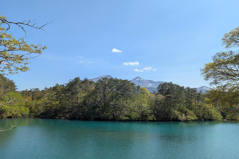 神秘的な沼の色と新緑のコントラストがきれいな「五色沼（ごしきぬま）」