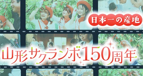 ［特集］日本一の産地・山形サクランボ１５０周年 磨いた品質、王国の誇り - agrinews.co.jp