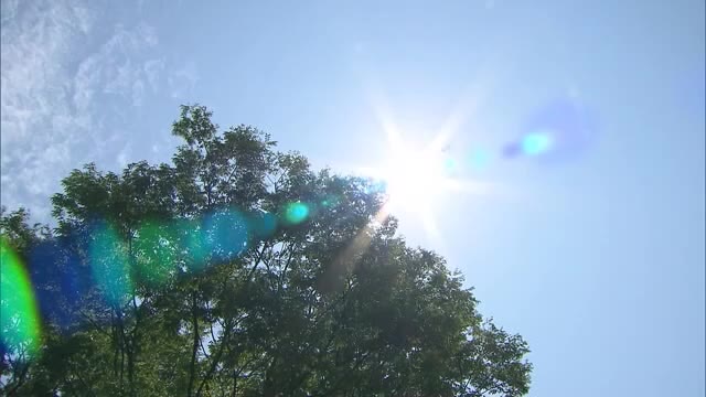 「鳥取・米子で３０度超え」山陰地方は真夏のような暑さに（島根・鳥取）（TSKさんいん中央テレビ） - Yahoo!ニュース - Yahoo!ニュース