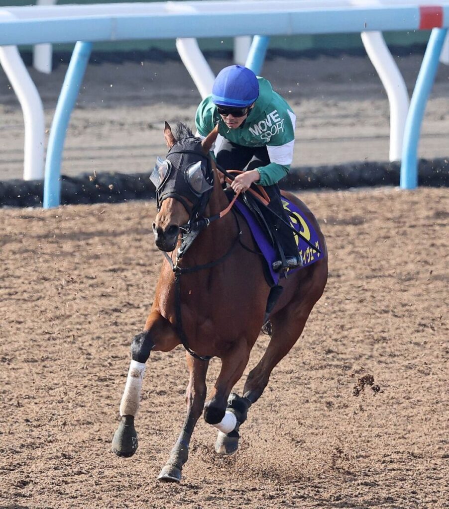 馬トク激走馬に計算されたブレイディヴェーグ（カメラ・荒牧　徹）