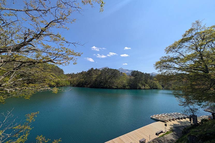 神秘的な沼の色と新緑のコントラストがきれいな「五色沼（ごしきぬま）」