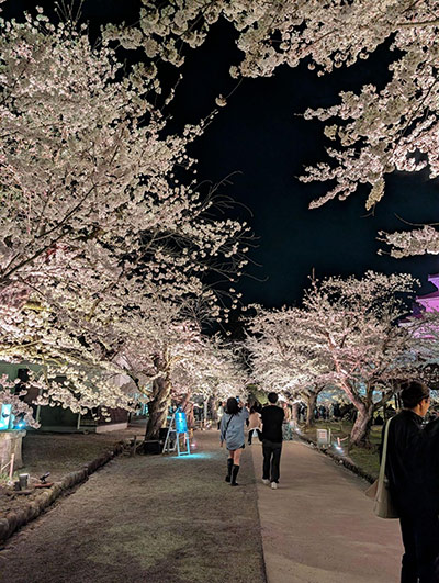 四季折々の魅力が楽しめて全国からファンが訪れる「鶴ヶ城（つるがじょう）」