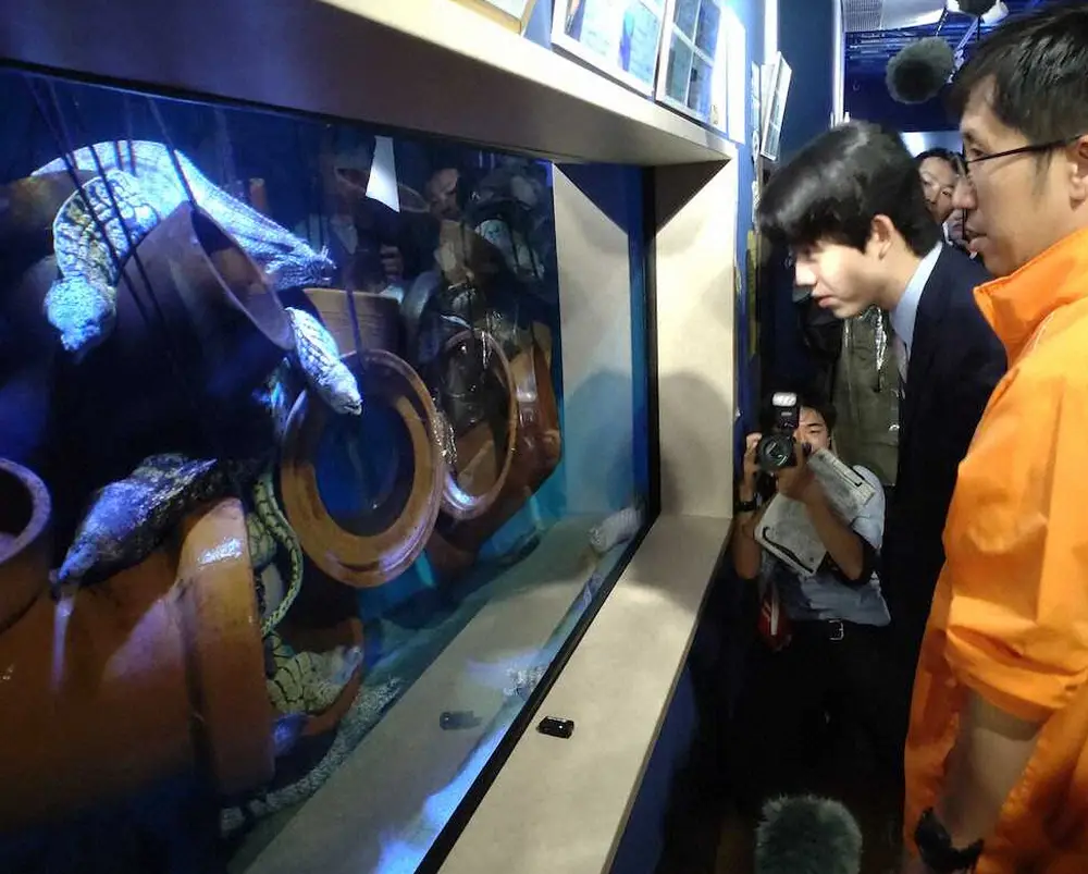 藤井名人「普段ない経験」愛知県蒲郡市で3連覇祝勝会　水族館でカニやサメと触れ合う - スポニチ Sponichi Annex 芸能