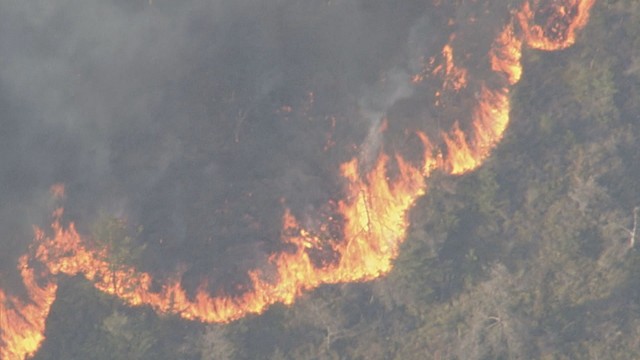 岡山市の山火事 知事「復旧に複数年を要する見込み」（KSB瀬戸内海放送） - Yahoo!ニュース
