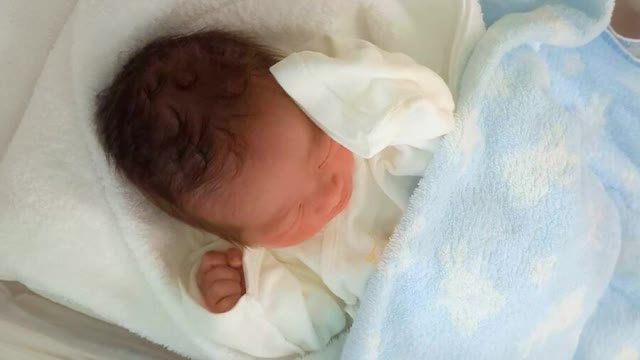 全国で唯一、出生率を維持 福井県の合計特殊出生率1.46で全国2位に 第2子以降の保育料無償化や不妊治療への支援策「一定の効果」（福井テレビ） - Yahoo!ニュース - Yahoo!ニュース