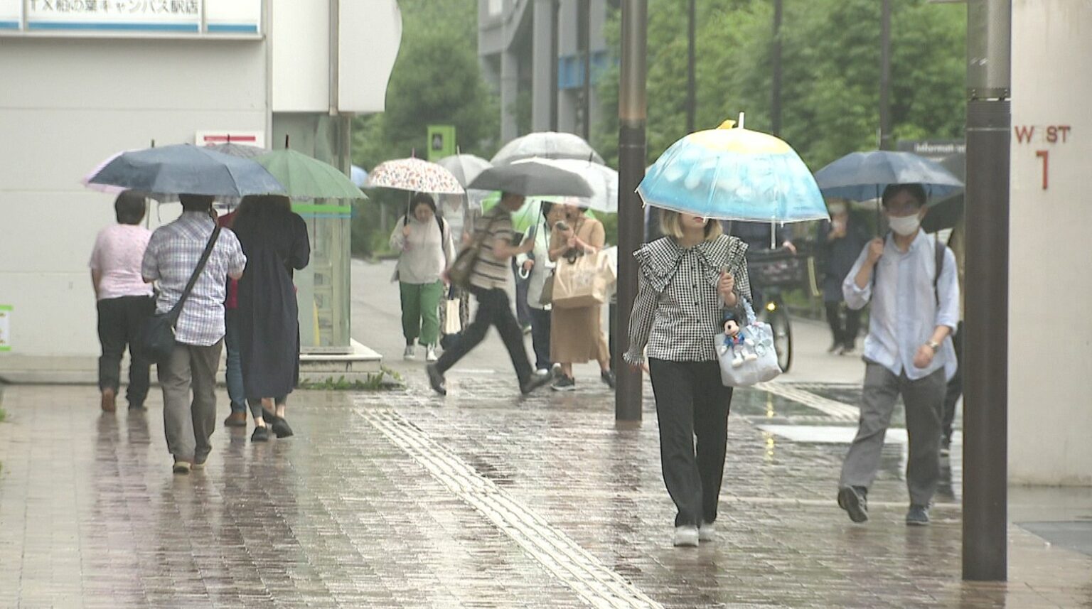 関東甲信越地方が梅雨入り 千葉県内も広い範囲で雨 去年より11日早く（チバテレ） - Yahoo!ニュース - Yahoo!ニュース