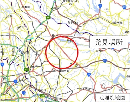 20250612kashiwa1 - 千葉県柏市／民間事業者敷地内のコンテナにヒアリ確認、今年度3事例目