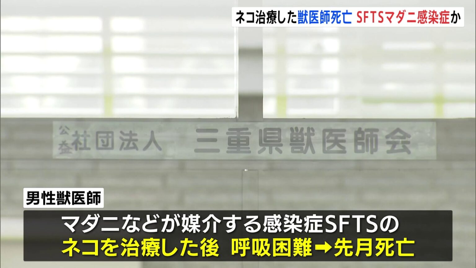 ネコの治療後に獣医師が死亡　マダニなどが媒介する感染症「SFTS」に感染か　三重県（TBS NEWS DIG Powered by JNN）