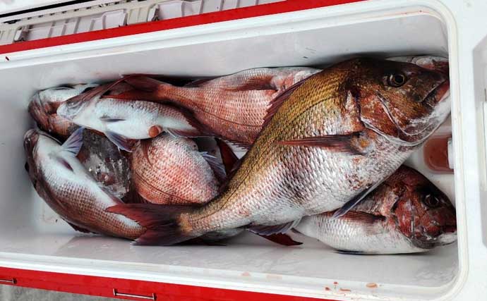 【沖釣り釣果速報】富山湾のアカムツ便でテクニカルな展開乗り越え本命連発！（北陸）