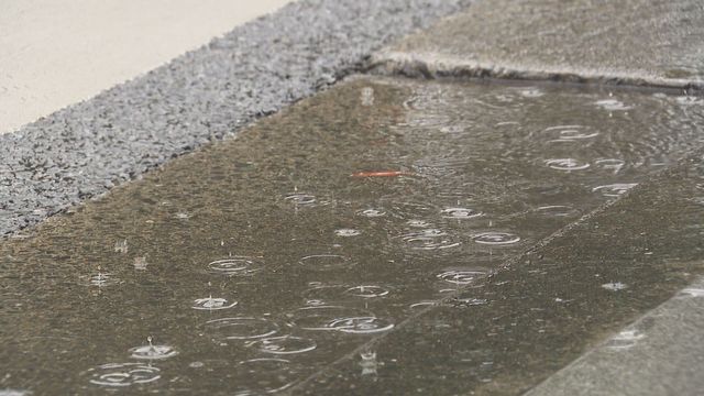 【気象台】福岡と佐賀で14日昼すぎにかけて大雨の恐れ 夜遅くにかけて土砂災害に厳重に警戒を 各地の予想雨量を詳しく（FBS福岡放送） - Yahoo!ニュース - Yahoo!ニュース