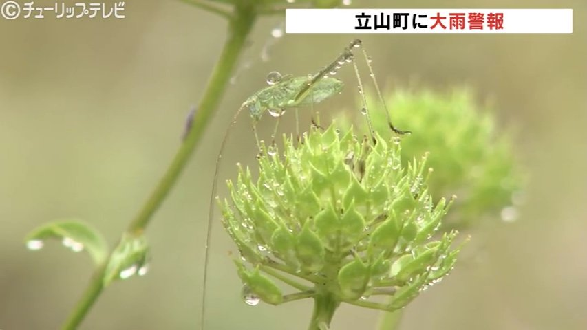 立山町に大雨警報 低気圧に向かって暖かく湿った空気 16日朝までに最大50ミリ予想 富山（チューリップテレビ） - Yahoo!ニュース - Yahoo!ニュース