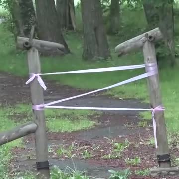 【クマ目撃で公園封鎖】親子とみられる2頭のクマが公園の中へ…猟友会のハンターが”足跡”を追跡するも見つからず…付近には小学校や中学校があり公園は封鎖〈北海道・標津町〉（北海道ニュースUHB） - Yahoo!ニュース - Yahoo!ニュース
