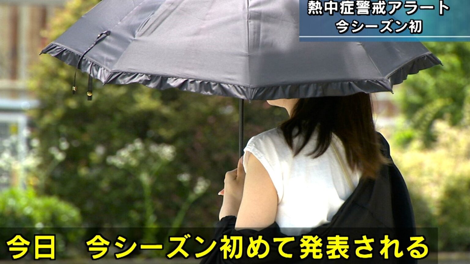 和歌山県でも「熱中症警戒アラート」発表 6/19（木）は和歌山市で猛暑日手前まで気温が上がる見通し 引き続き警戒が必要（テレビ和歌山） - Yahoo!ニュース - Yahoo!ニュース