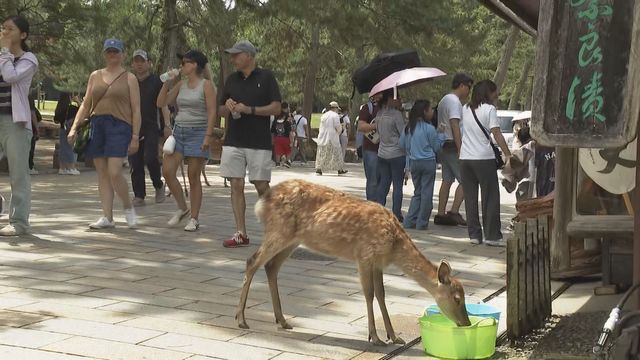 【速報】奈良市で35℃超える 近畿で今年初めての“猛暑日”（読売テレビ） - Yahoo!ニュース