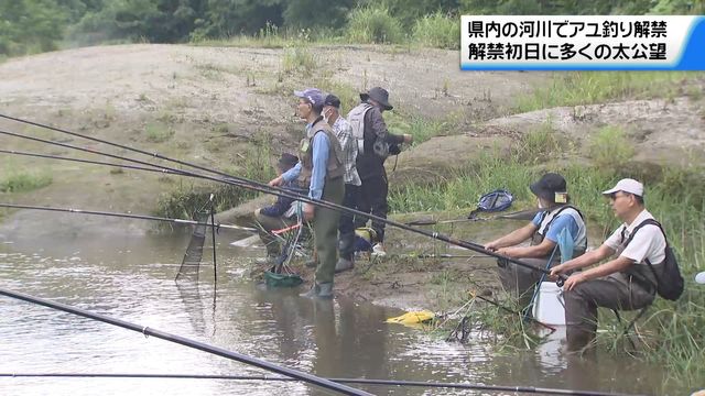 「一年に一回の楽しみ」石川県内の河川でアユ釣り解禁 初日に多くの太公望（テレビ金沢） - Yahoo!ニュース - Yahoo!ニュース