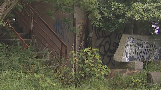 さぬき市の廃屋近くで見つかった19歳男性の遺体 死因は頭部外傷 屋上から落下し死亡か 香川（KSB瀬戸内海放送） - Yahoo!ニュース - Yahoo!ニュース
