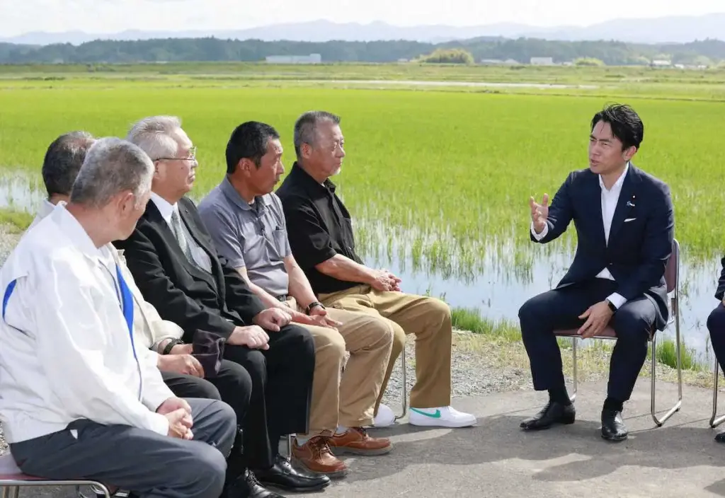 小泉進次郎農相　生産統計見直しへ　福島県でコメ生産者らと意見交換 - スポニチ Sponichi Annex 社会