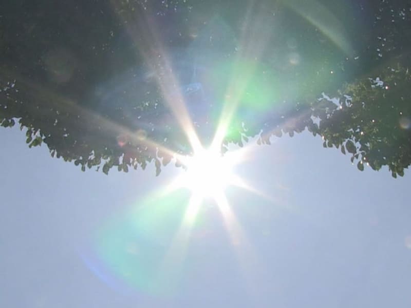 岐阜県各地で猛暑日 熱中症で２６人が搬送（ぎふチャンDIGITAL） - Yahoo!ニュース