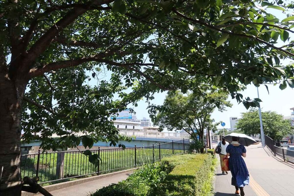 梅雨なのに…神奈川で２０２５年初の猛暑日 海老名と小田原３５度超、横浜も３４度超（カナロコ by 神奈川新聞） - Yahoo!ニュース - Yahoo!ニュース