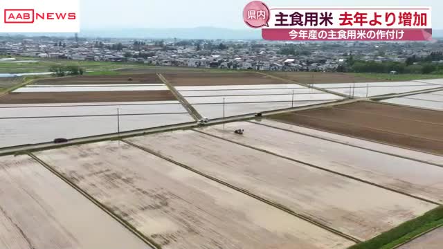 秋田県内２０２５年産主食用米の作付け面積 前年よりも増える見通し 農林水産省の意向調査（秋田朝日放送） - Yahoo!ニュース - Yahoo!ニュース