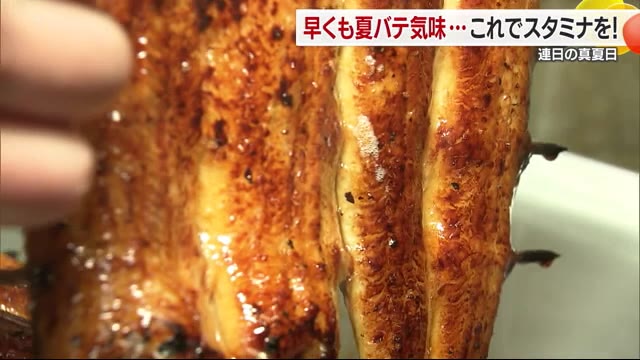 “梅雨の晴れ間”愛媛でも続く真夏日…高まる「ウナギ」の需要 専門店の焼き場もアツい！【愛媛】（テレビ愛媛） - Yahoo!ニュース - Yahoo!ニュース