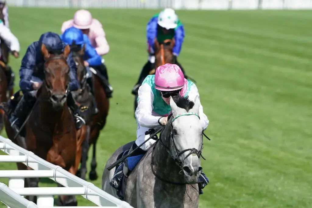 【英セントジェームズパレスS】欧州3歳マイル王襲名！愛2000ギニー馬フィールドオブゴールドが快勝 - スポニチ Sponichi Annex ギャンブル