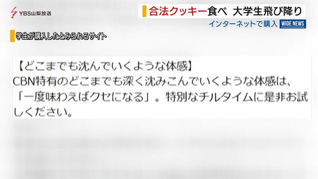 クッキー食べた大学生が飛び降り「大麻草の成分入り」と宣伝 友人がネットで購入 山梨（YBS山梨放送） - Yahoo!ニュース