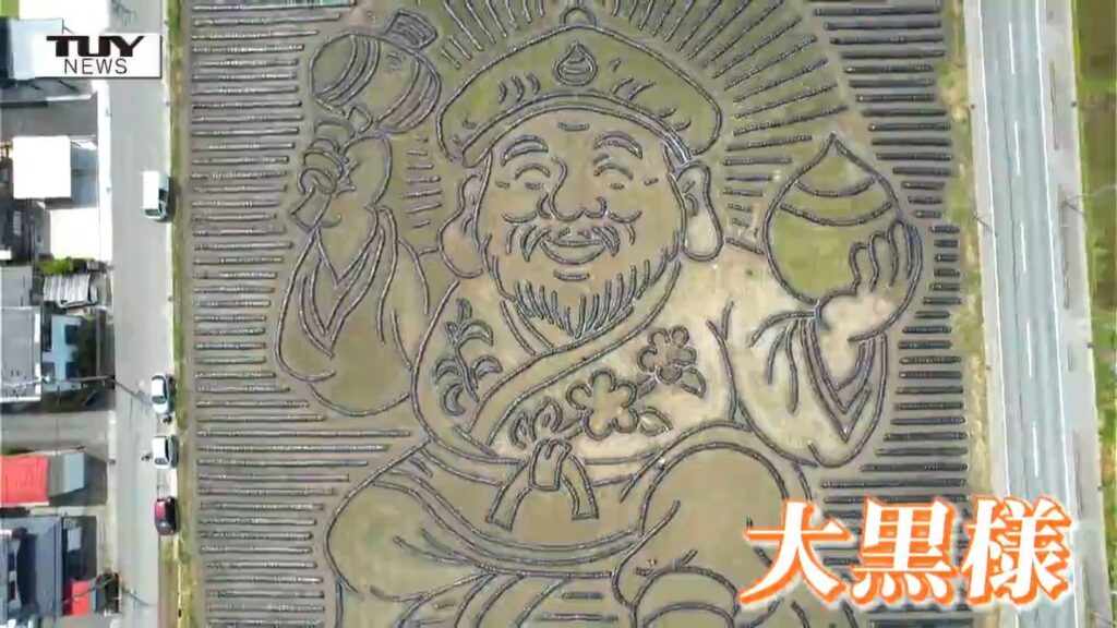 里芋畑に巨大な "大黒様" が出現?! 地上絵を通し山形の文化を世界中に発信! 今年ならではの特別な思いとは（山形市）（テレビユー山形）