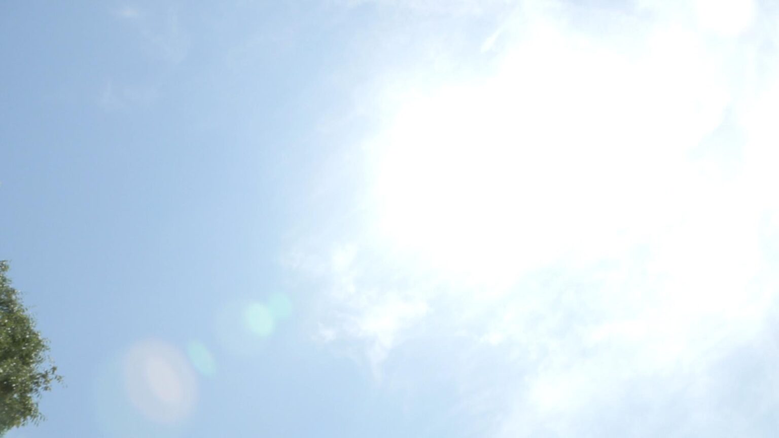今年最多 18人が熱中症の疑いで救急搬送 三重県（三重テレビ放送） - Yahoo!ニュース