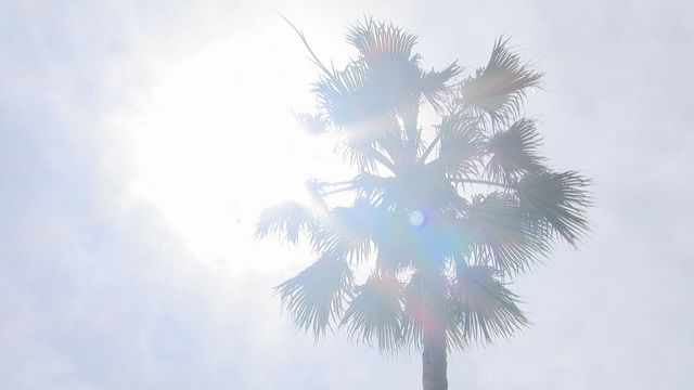 【速報】福岡市でことし初の猛暑日 午後1時すぎに35.1℃（FBS福岡放送） - Yahoo!ニュース