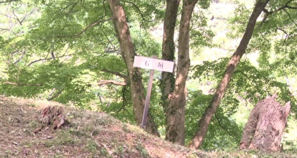 大聖寺城跡を国史跡 山田氏庭園・平木氏庭園を国の文化財に答申　石川県内の指定史跡は27件に（MRO北陸放送） - Yahoo!ニュース