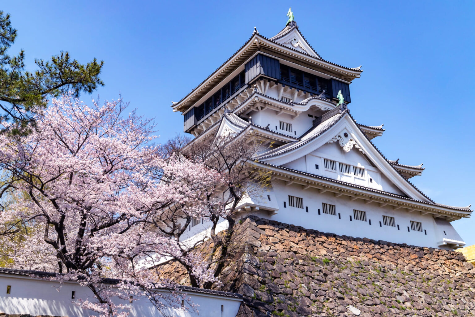 観光地として一番だと思う「福岡県の市町村」ランキング！ 2位は「福岡市」、1位は？【2025年6月6日時点の投票結果】（ねとらぼ） - Yahoo!ニュース - Yahoo!ニュース