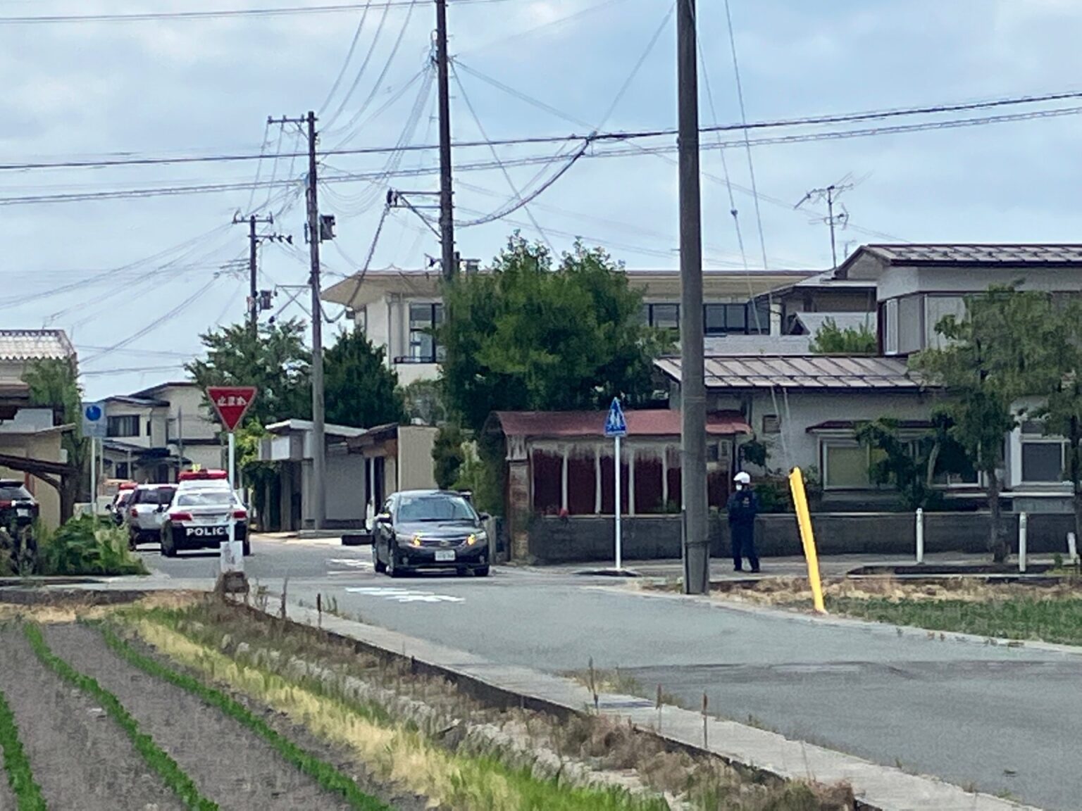 【速報】河北町の住宅街でクマを確認 松の木の下にいる模様（山形）（テレビユー山形） - Yahoo!ニュース - Yahoo!ニュース
