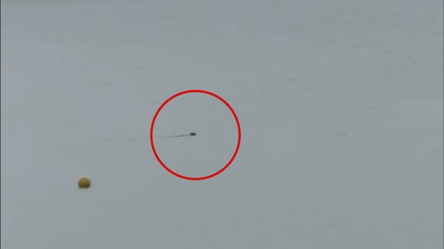 【映像あり】観光地の湖をクマが泳ぐ！「大きさのわりにすごく速くて…」 水田を走る姿も…青森県内で相次ぐ目撃に警戒強まる（青森放送） - Yahoo!ニュース - Yahoo!ニュース