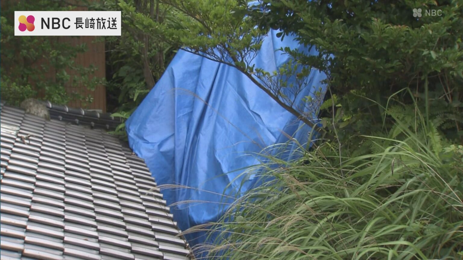 長崎市で強い雨 民家裏の石垣が崩れる被害も 気象台 土砂災害などに注意・警戒呼びかけ（NBC長崎放送） - Yahoo!ニュース