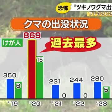 秋は“大量出没”に注意…ツキノワグマのエサとなるブナが5年ぶり「大凶作」か 石川県が出没注意情報発令（石川テレビ） - Yahoo!ニュース - Yahoo!ニュース