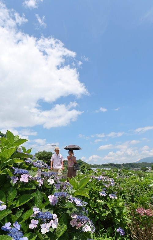 長崎県で最速の梅雨明け 昨年より２０日早く…８地点で３０度以上の真夏日に【27日】（長崎新聞） - Yahoo!ニュース - Yahoo!ニュース
